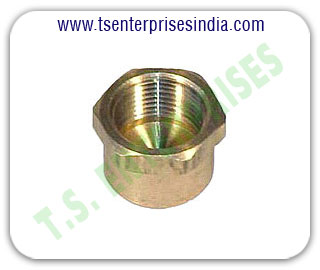 Hydraulic Caps Hydraulic Sockets Hydraulic Ferule Hydraulic Hose Pipe Fitting Caps manufacturers suppliers in india punjab ludhiana